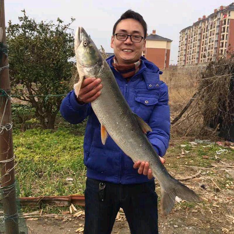 袁也