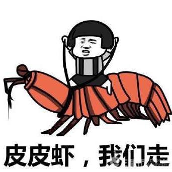 皮皮虾皮皮熊