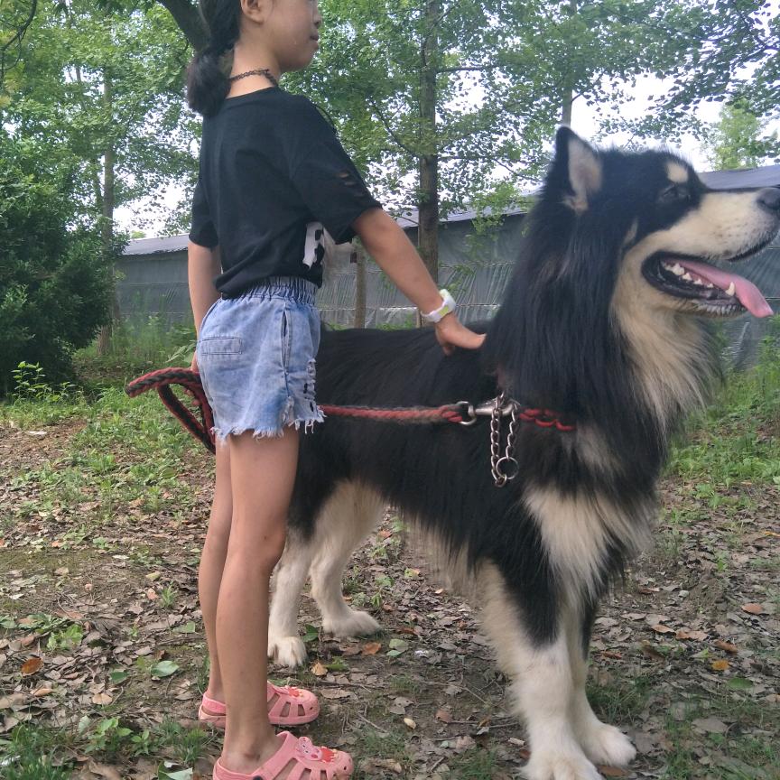 不醉不归