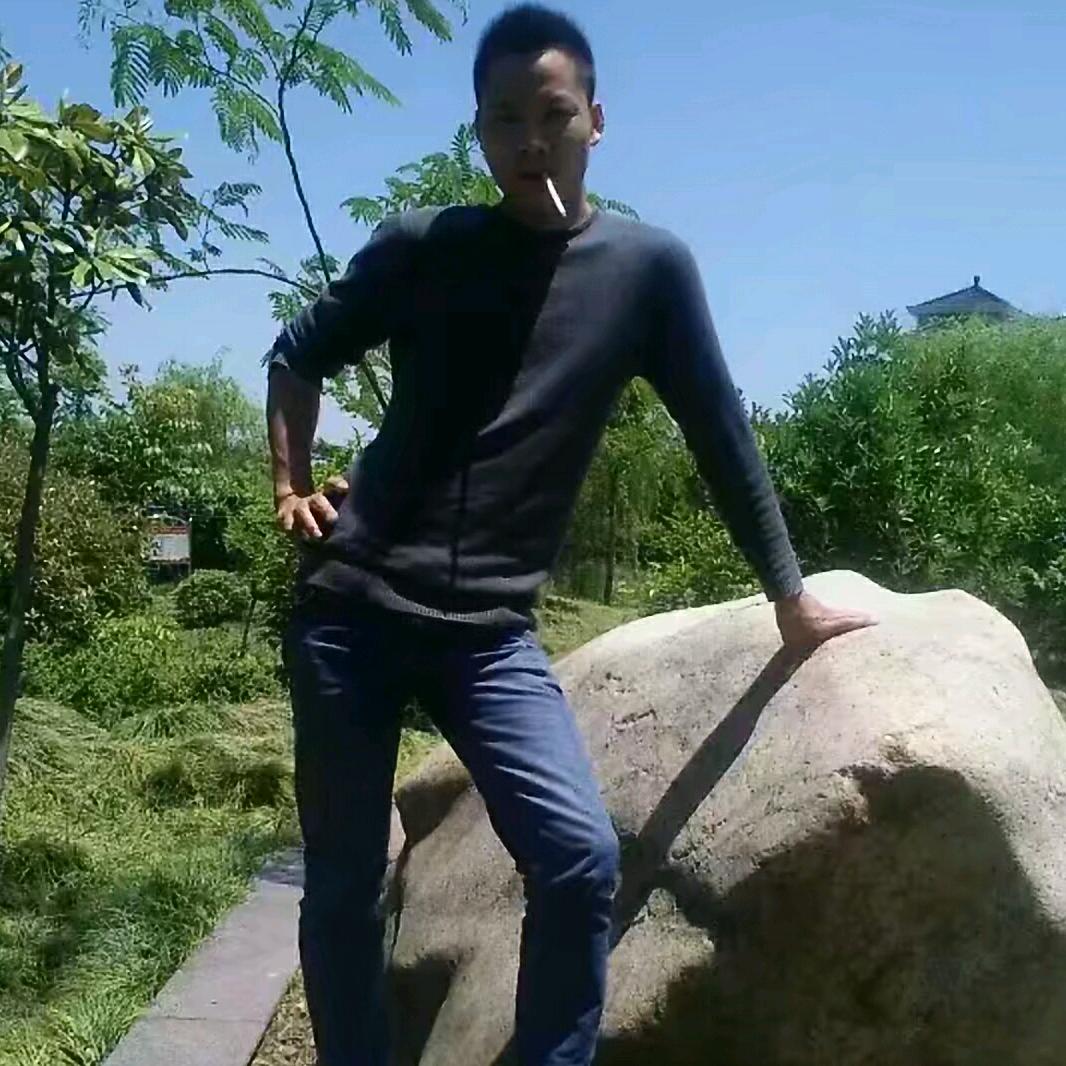 yang二哥