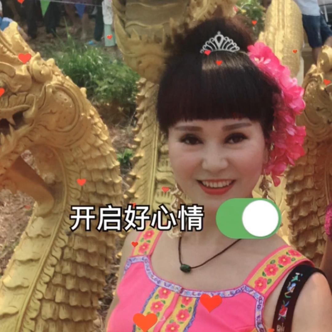 ༄ེ西丽舞蝶࿐