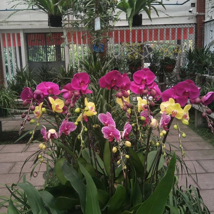 甄曦曦歉1202