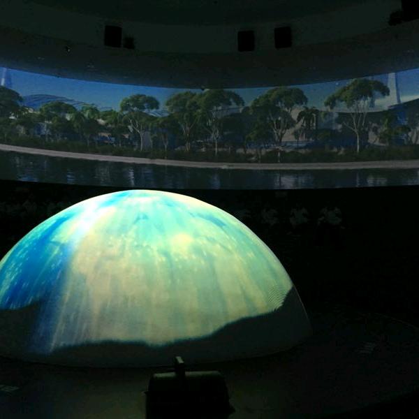 🌻🌻阳光果粒陈🍊🍊