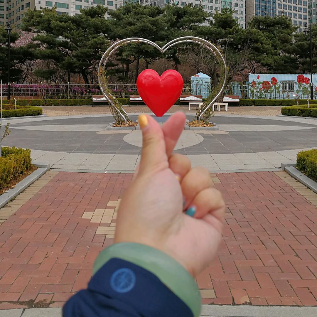 手心的太阳K