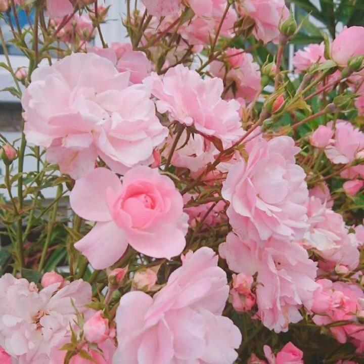 一米阳光❤️：