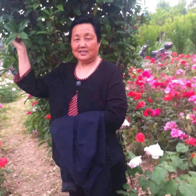 快乐老太太