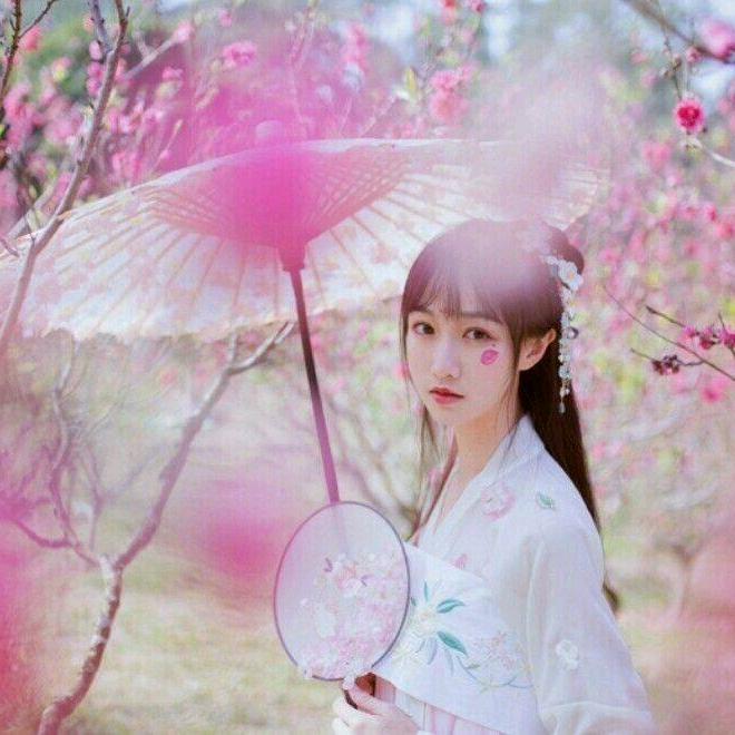 浪漫的烟火