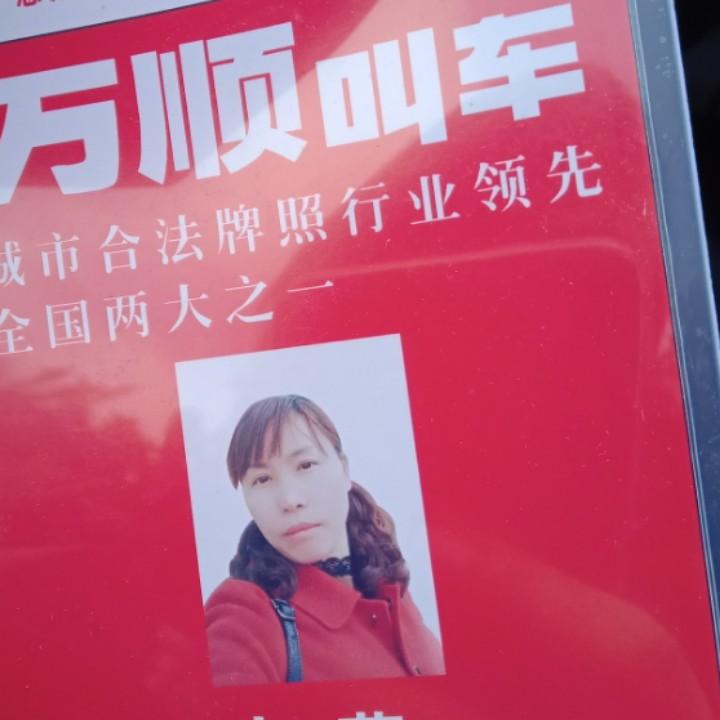情难断311