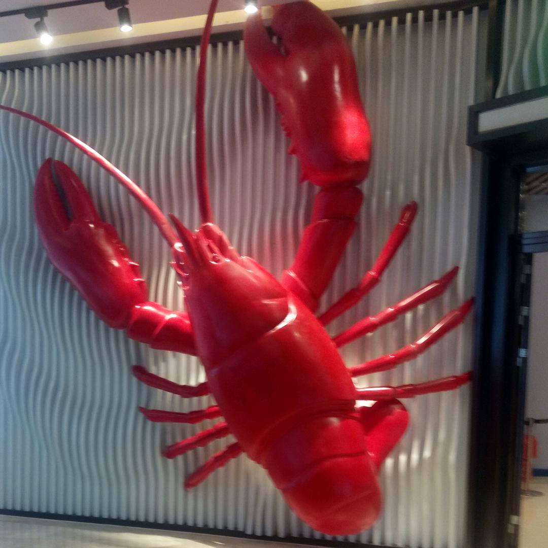 没心没肺，吃饱就睡😏