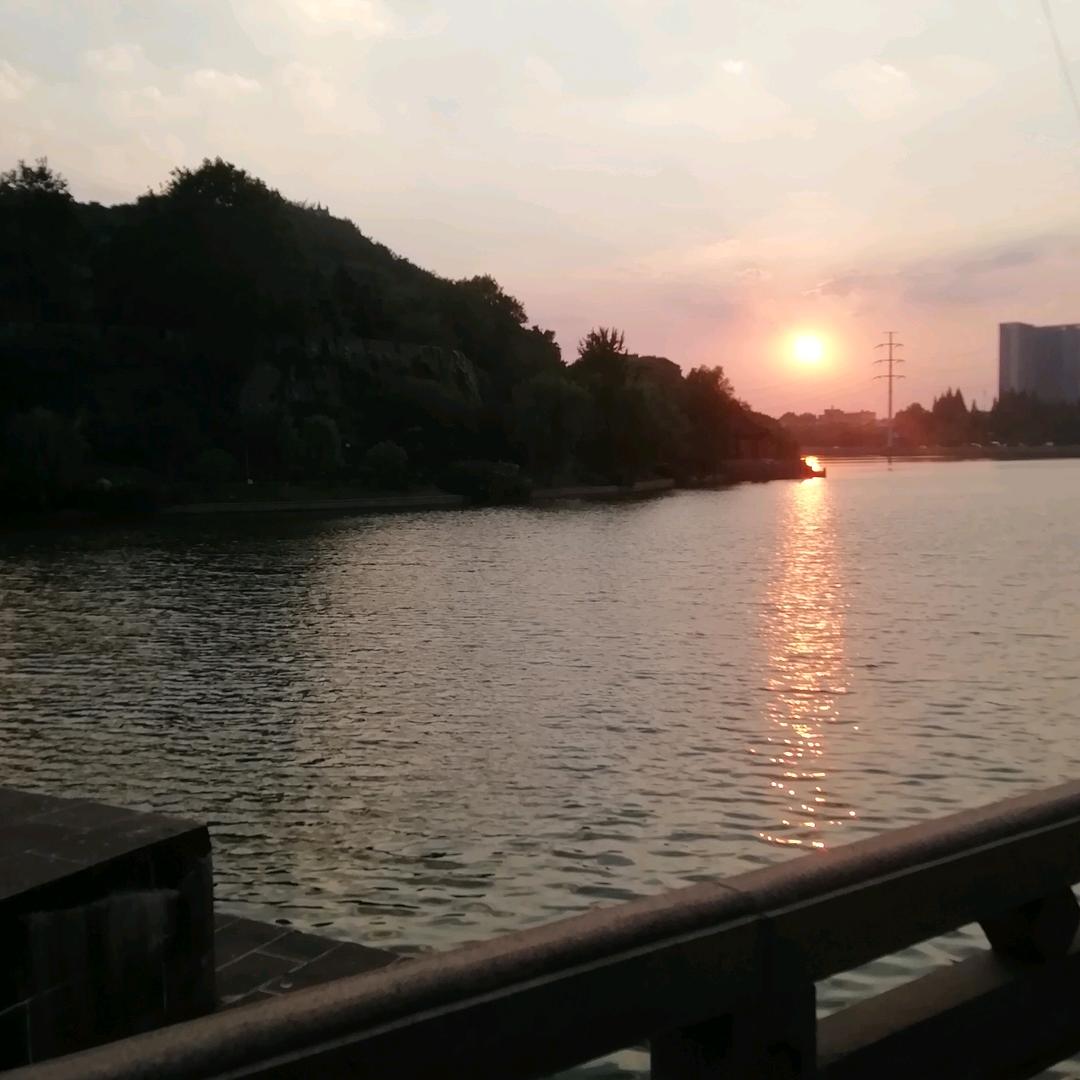 正宗河南特产小磨香油