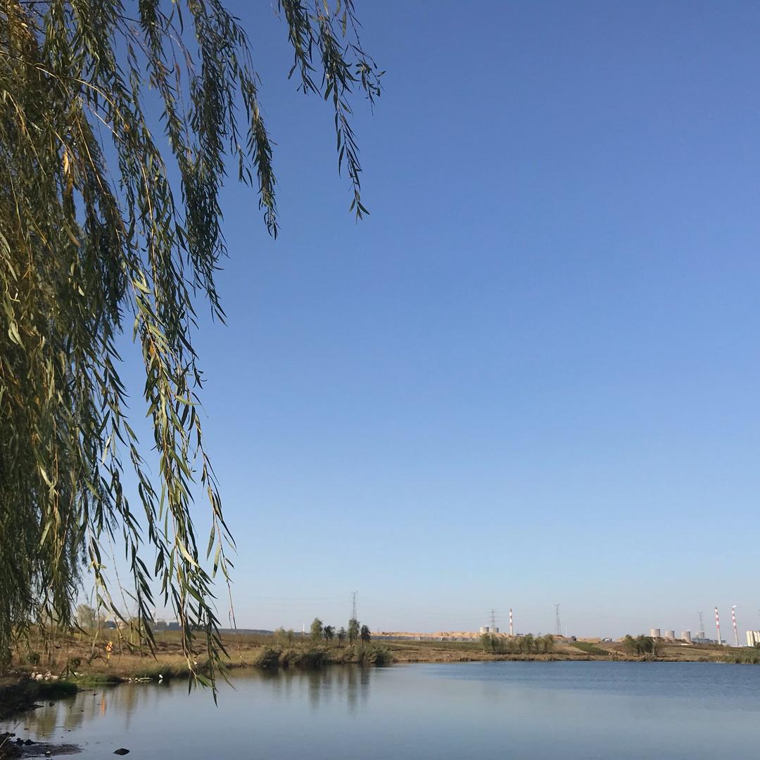 懵萌