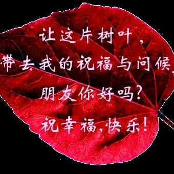 🌴🌴牡丹🌺💞