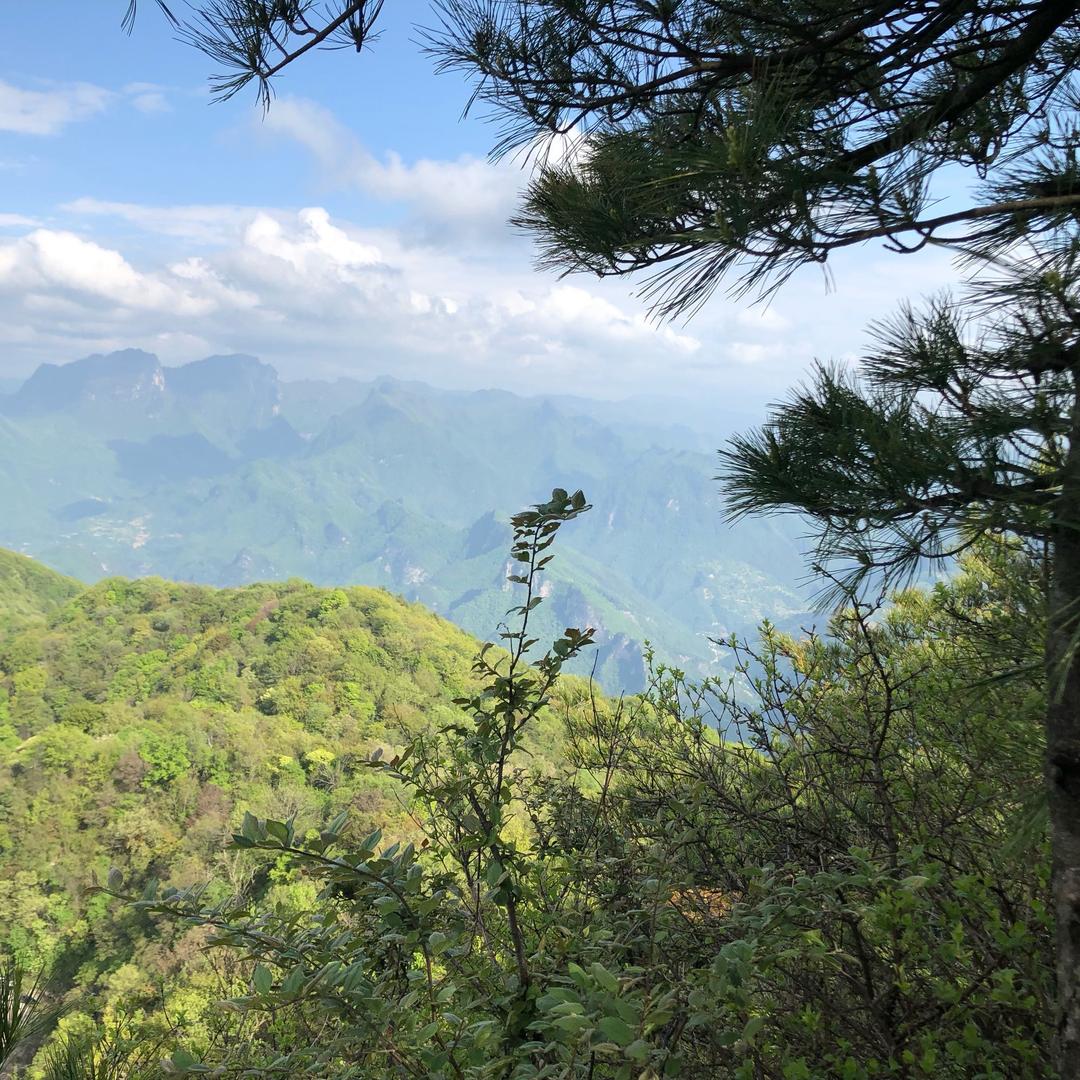 山峰