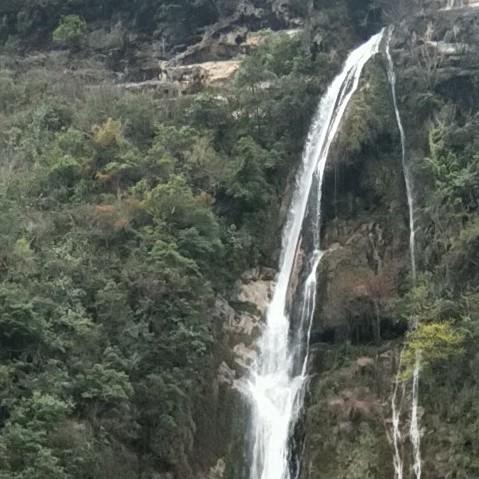 沙特先生   拒绝连赞