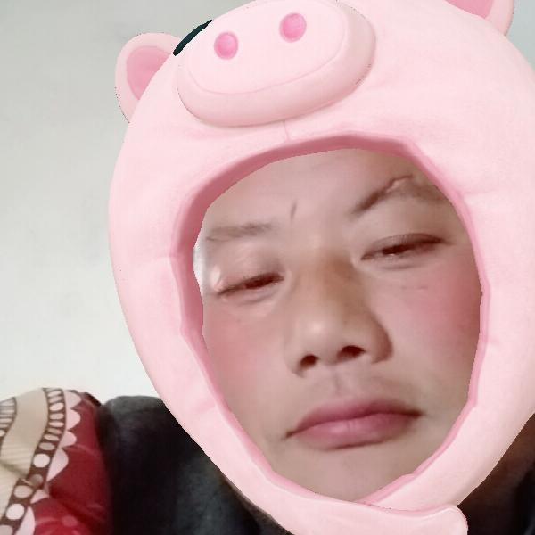 王善军