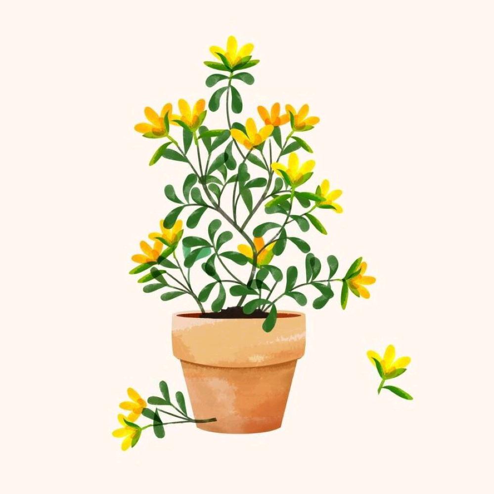 玉英