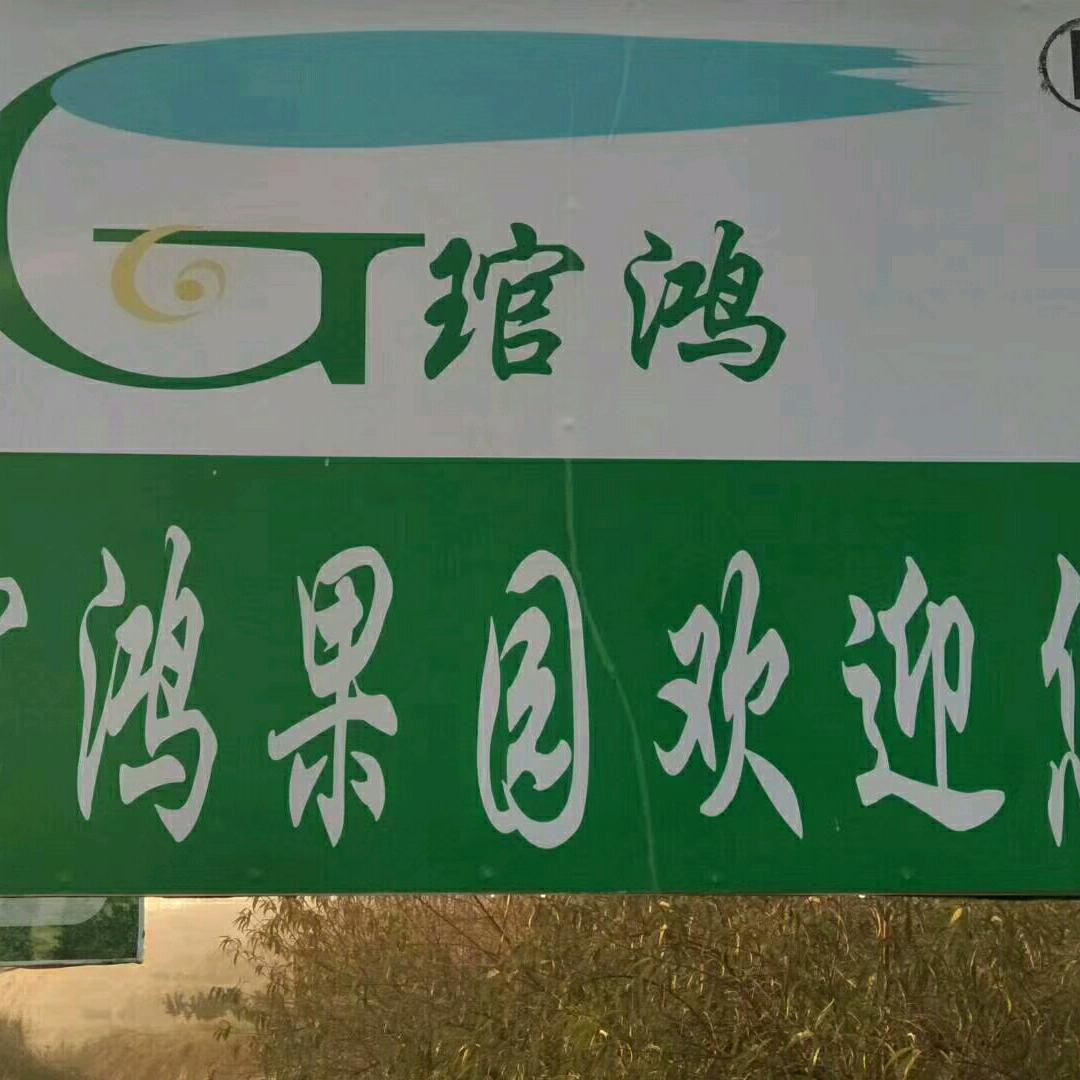 信丰琯鸿哥