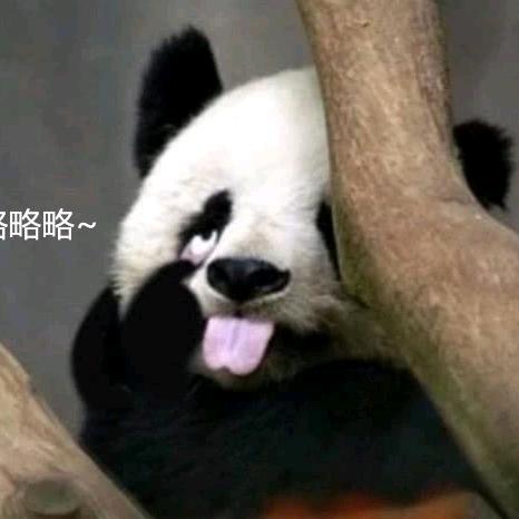 凝渊