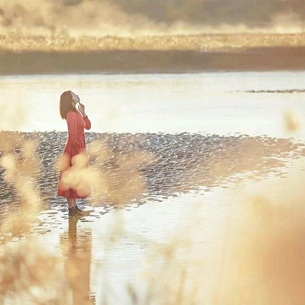 善变的红蚂蚁🍀