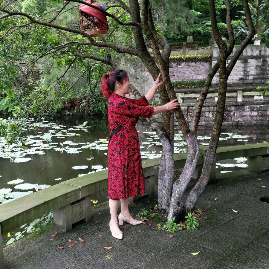梅