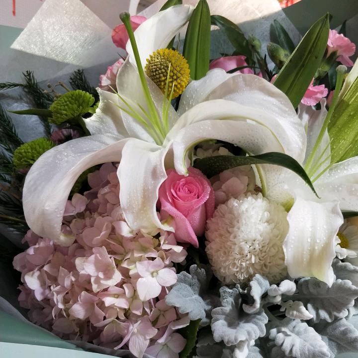 菲