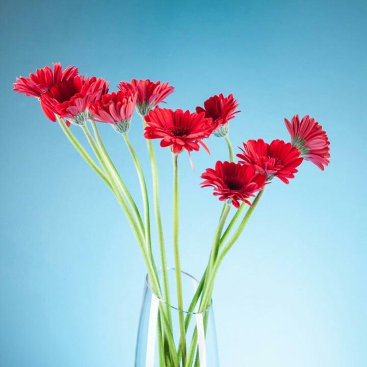 心想事成