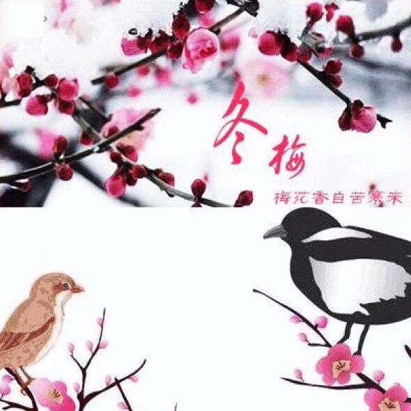 冬梅