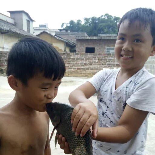 天顺