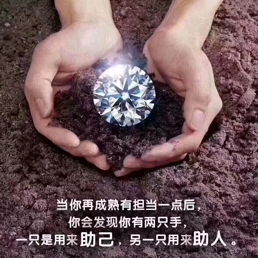 悠然篱下
