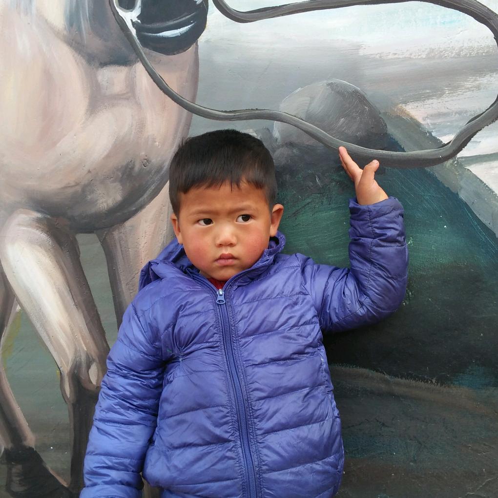 天之骄骨💐🌸💐🌸💐