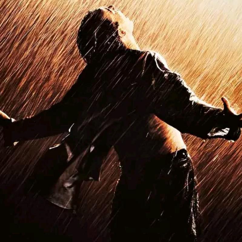 专业挖树根，退林，清表