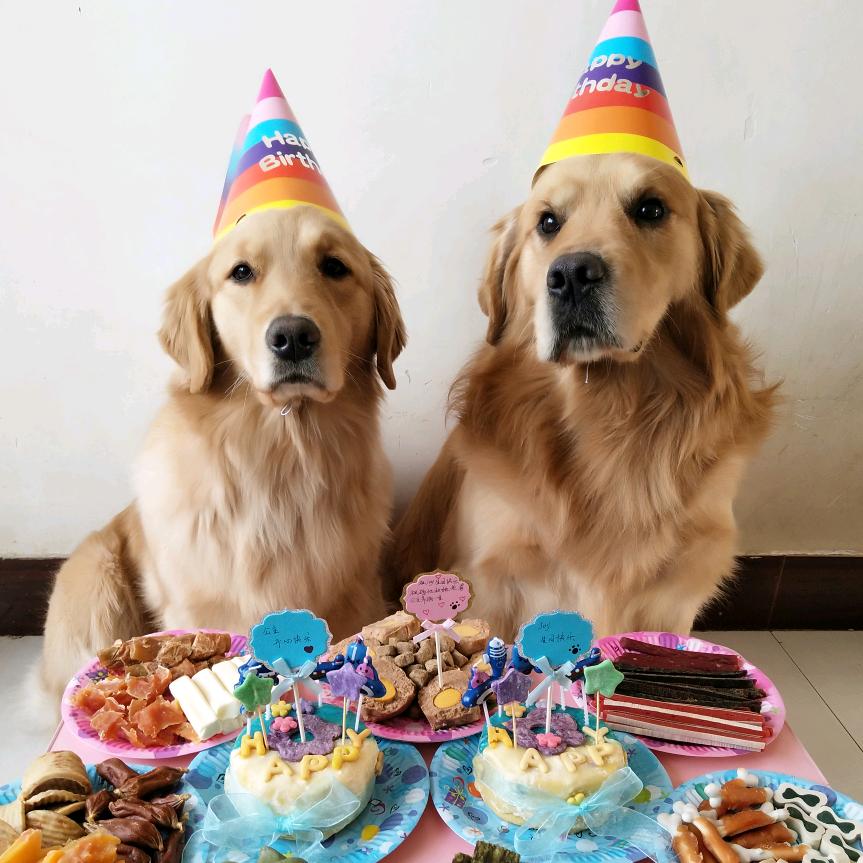 戚雅萌🎀@抖音