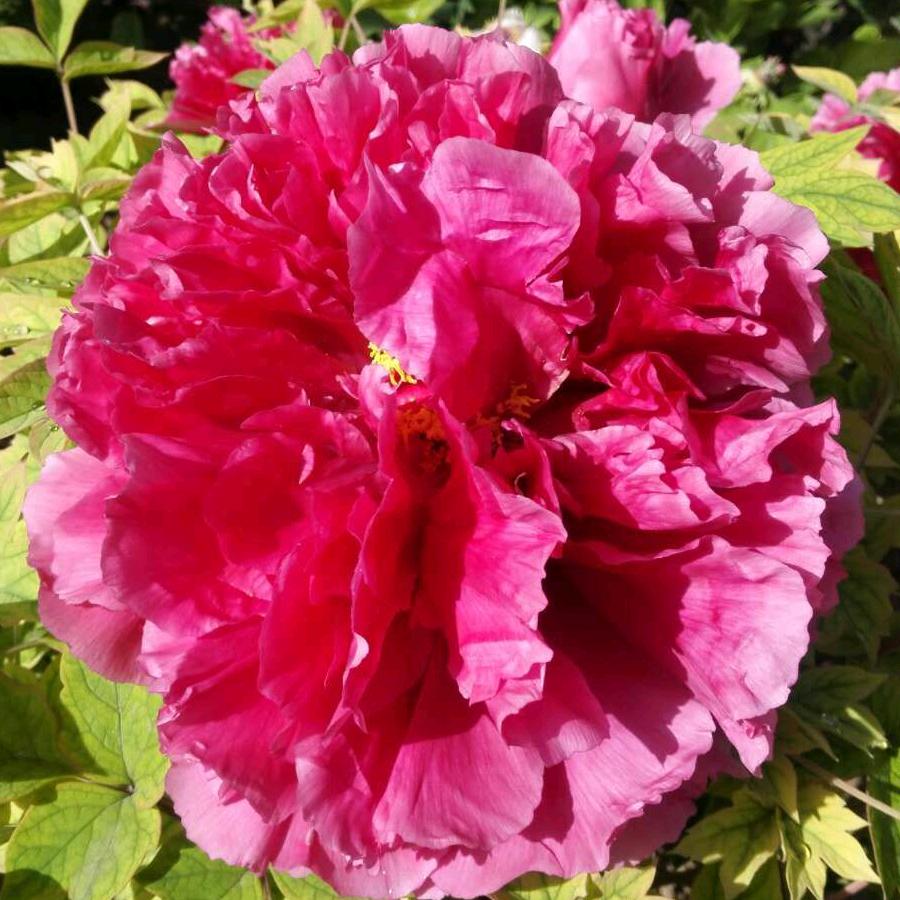 云端漫步