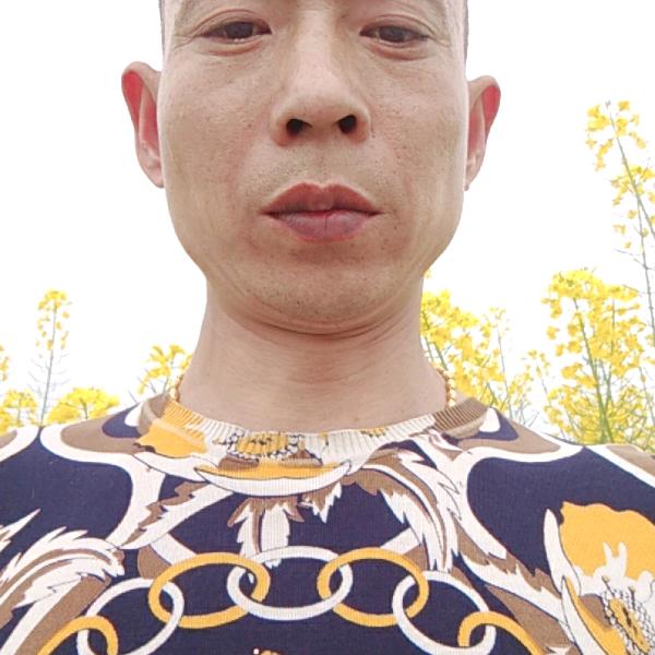 王老歌
