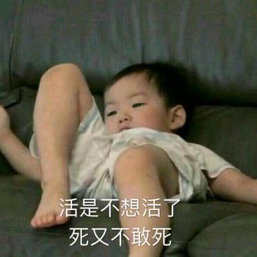 尼莫