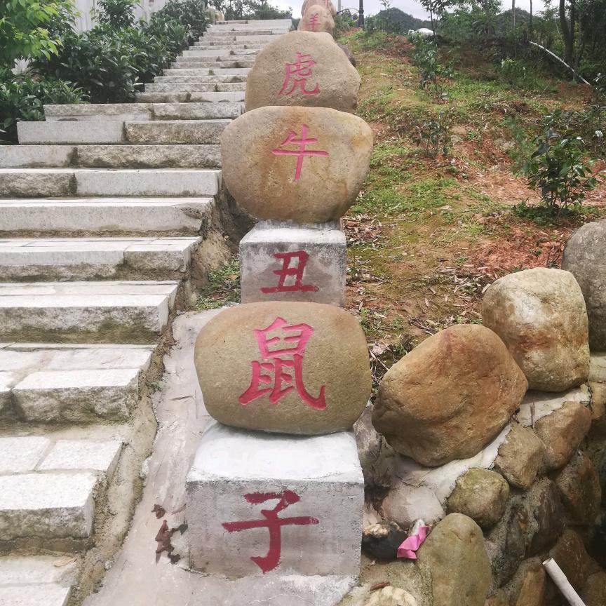 天天开心