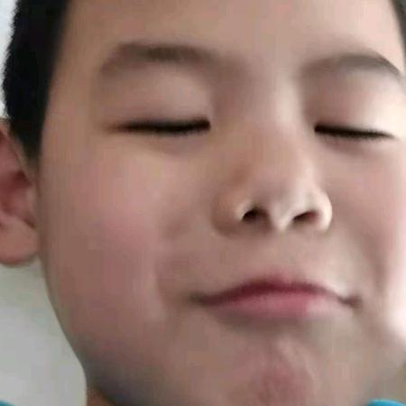 北方的狼