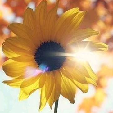 长葛小焕 smm94271