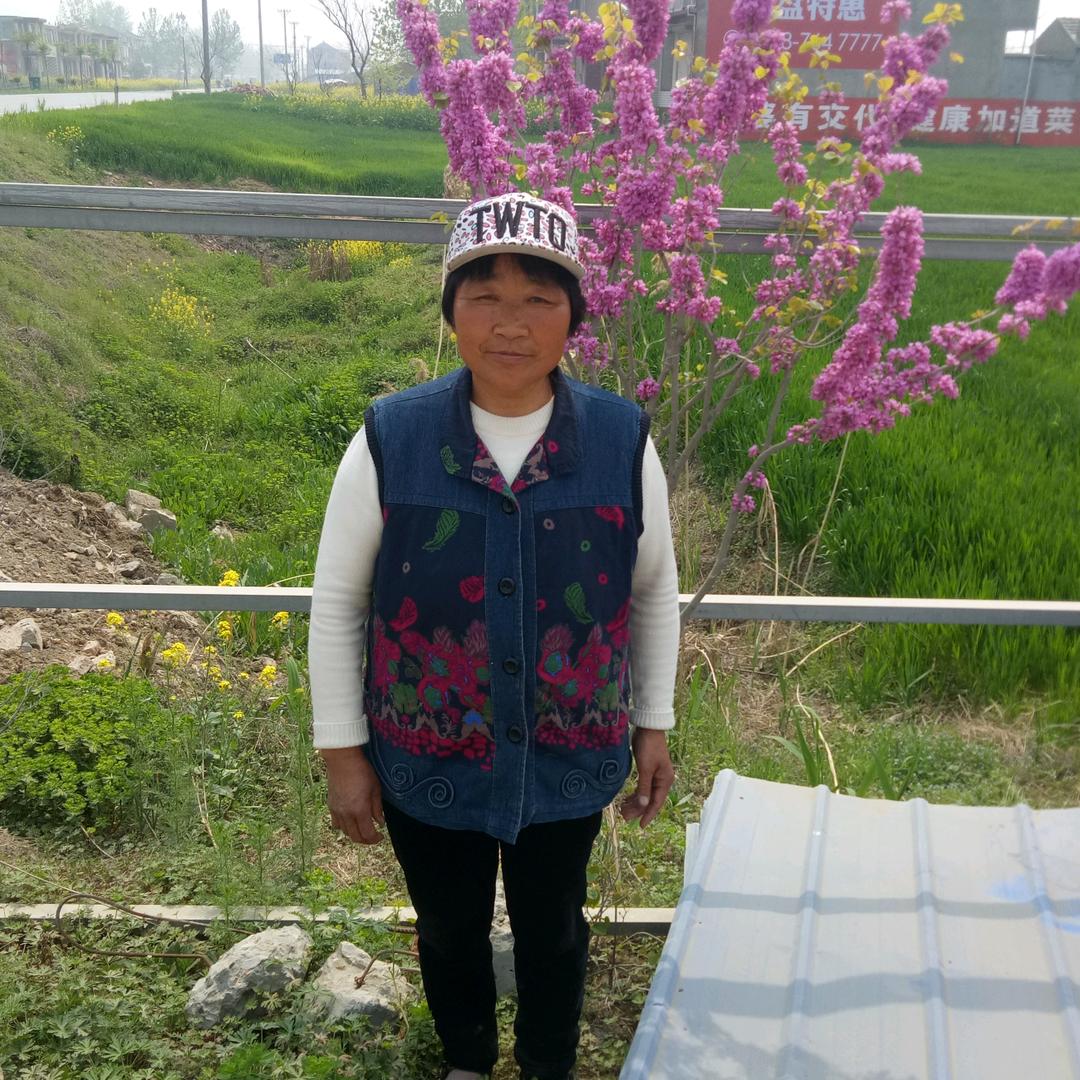 席兰华