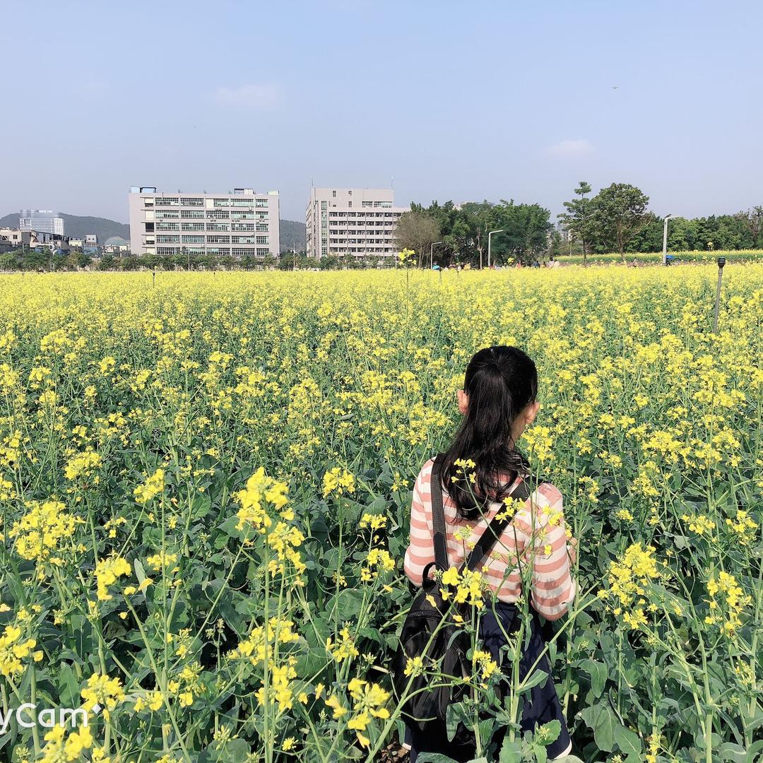 芯绝