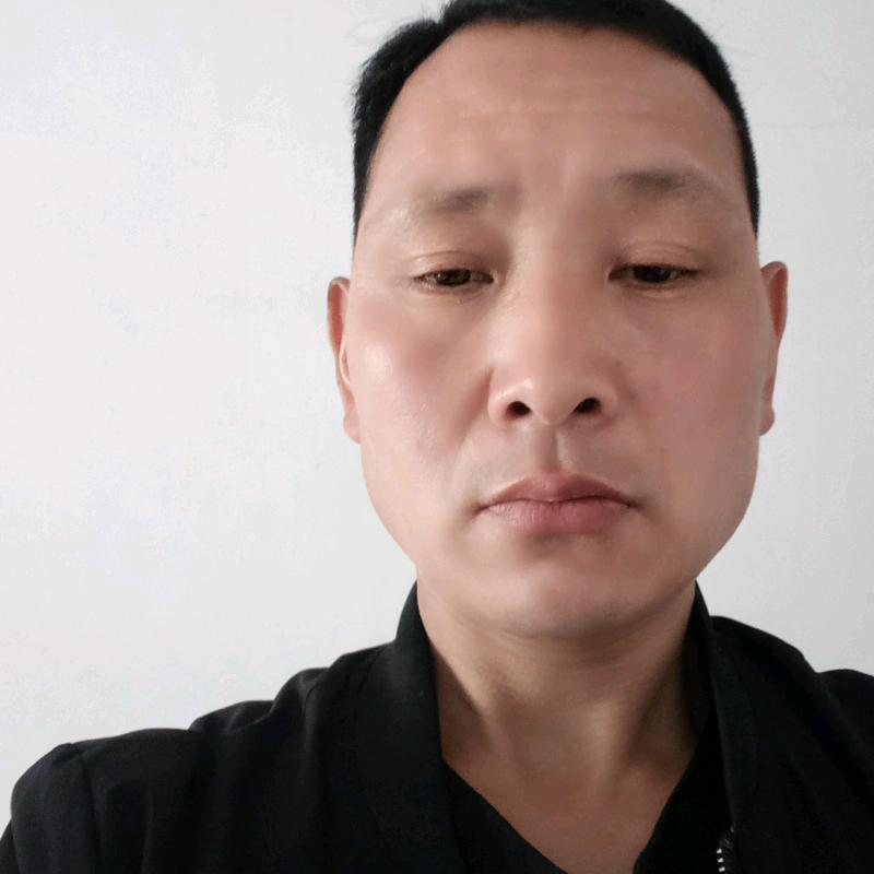 刘振涛