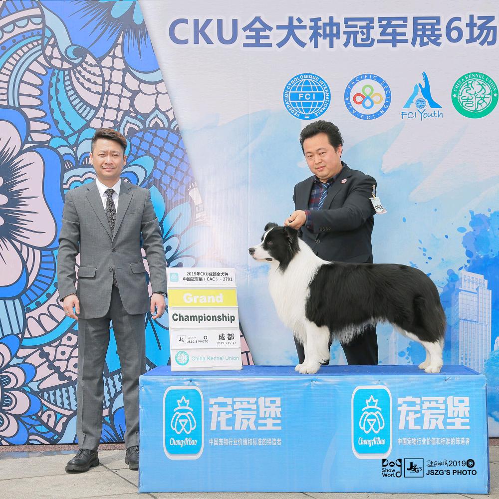 萌爪爪.功，夫，熊，猫，犬，舍！