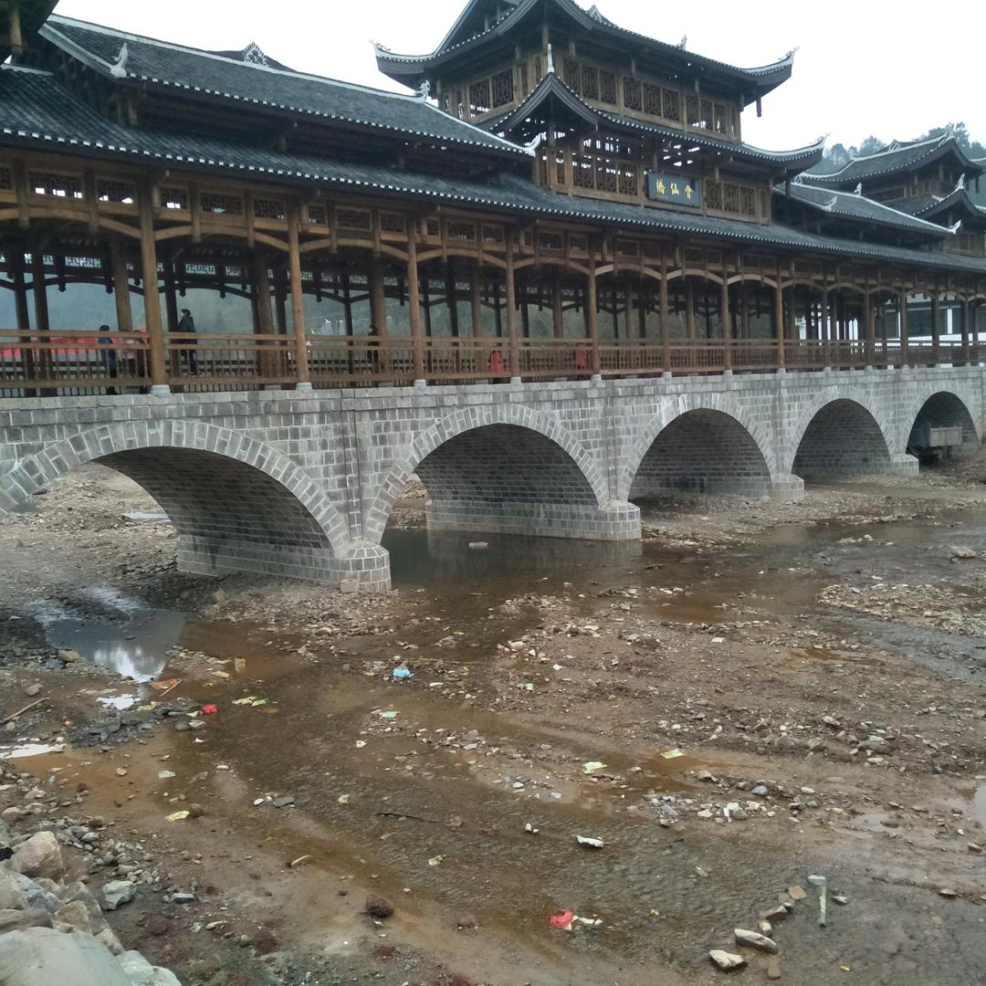 辰洲康哥