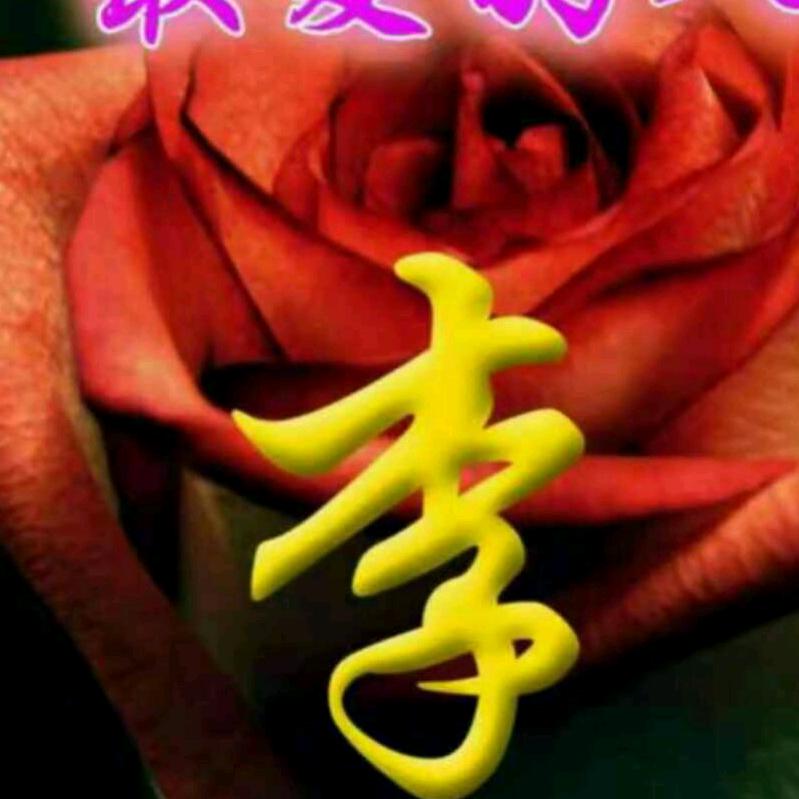开乘龙的俊哥