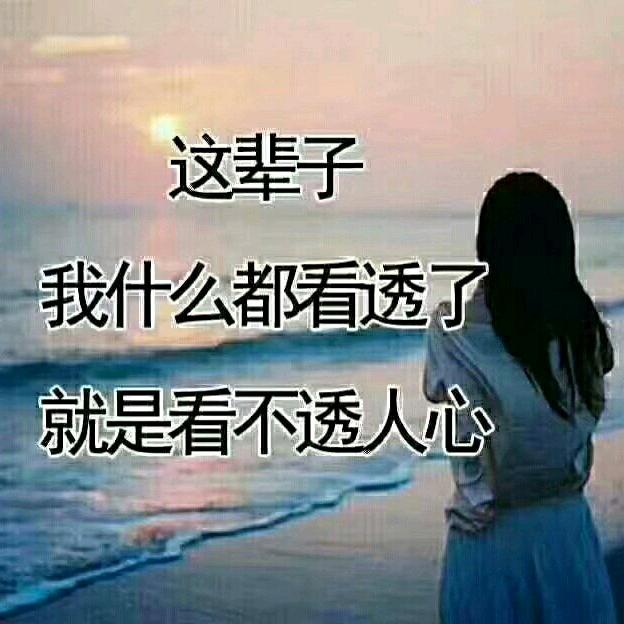 心之所向素履而往