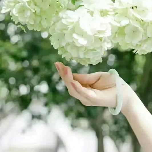 《Jane 简.爱Eyre》