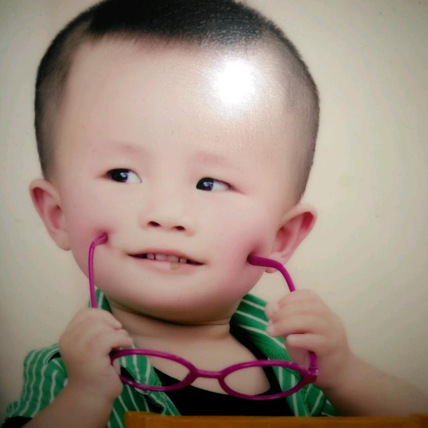 平舆舆臻渣土有限公司