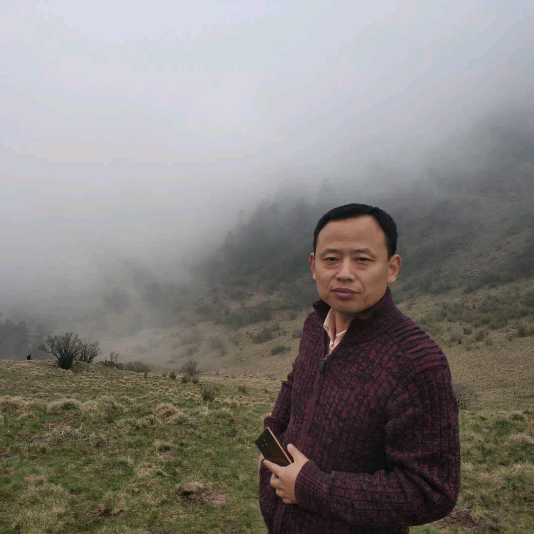 海白鲸