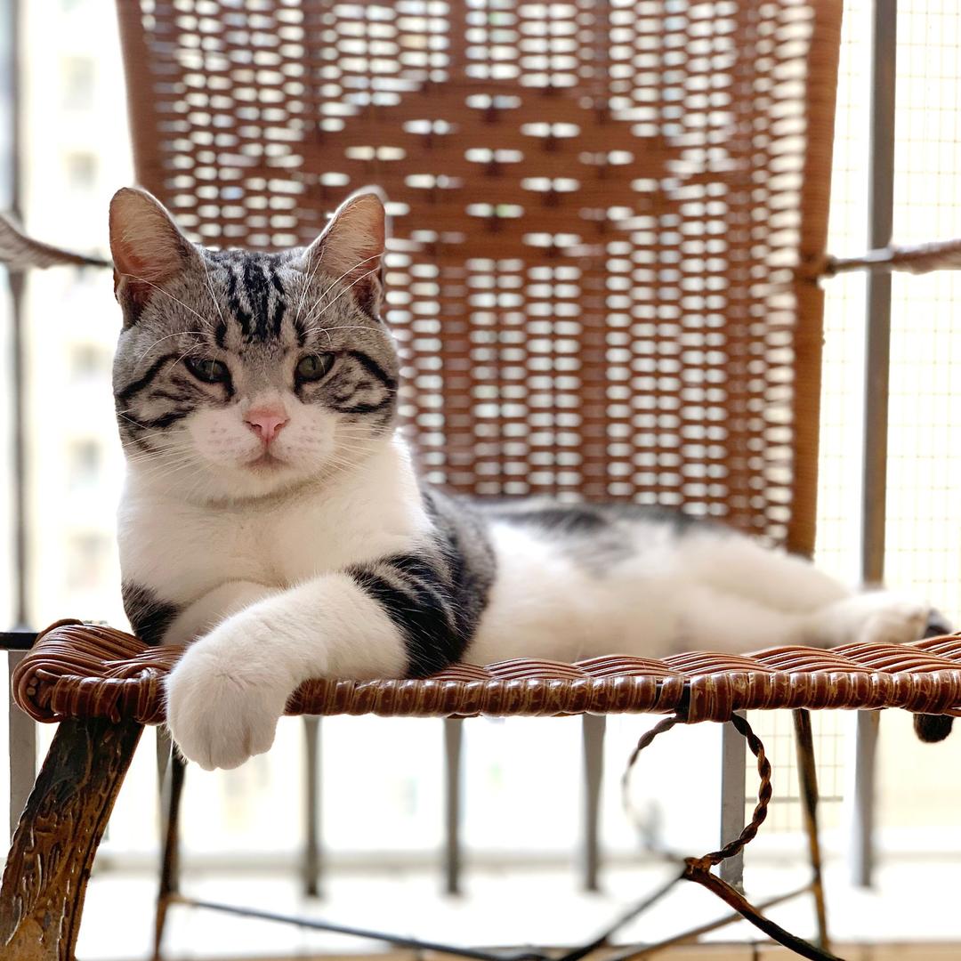 無聊既人　　　　　╲