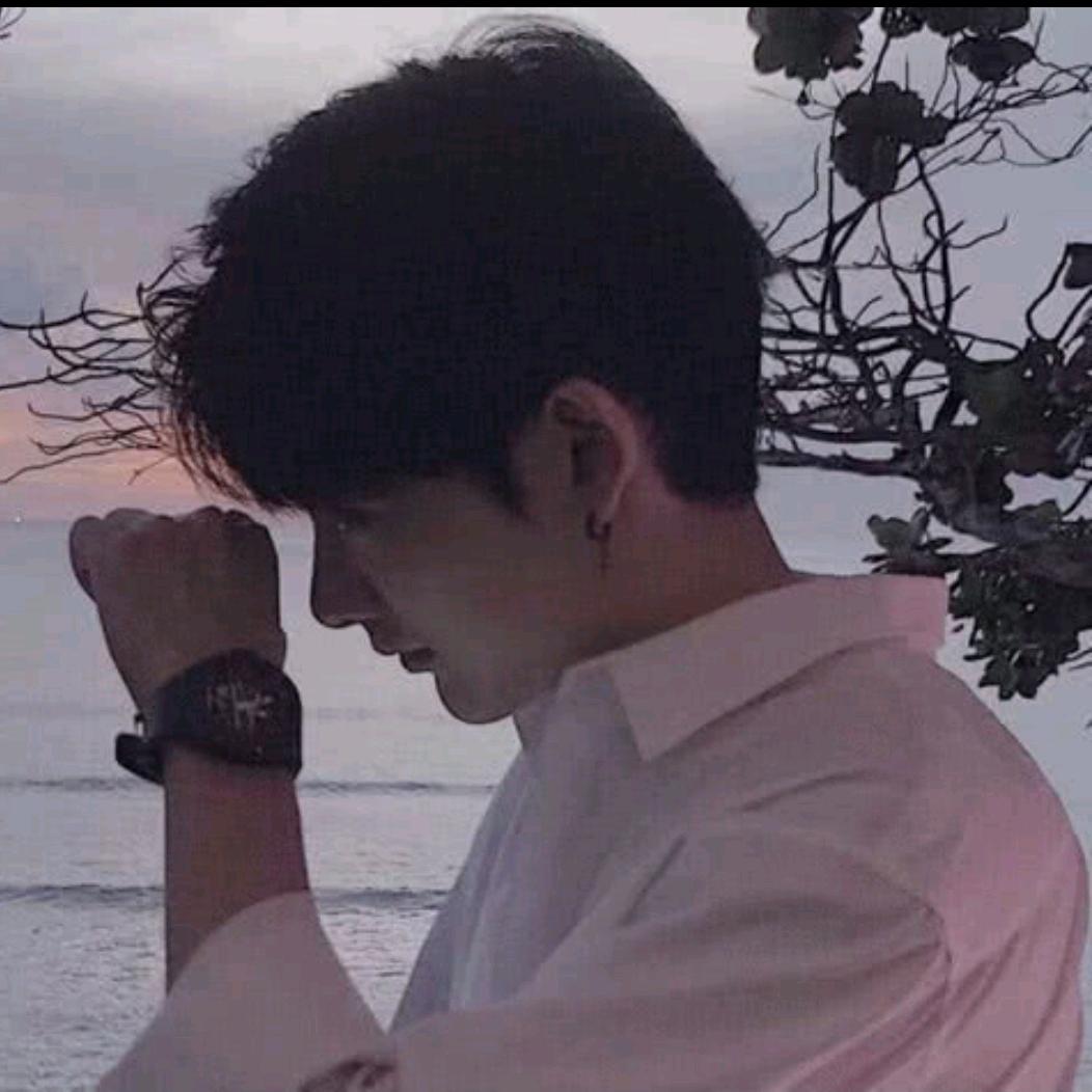 辰光入林间